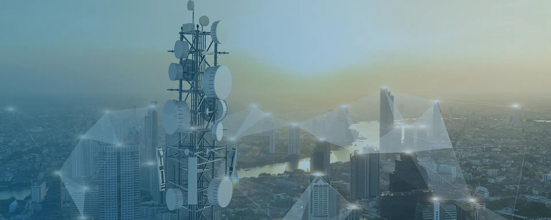 Telecom Call Center Services